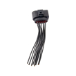 Head Lamp Socket Head Lamp Socket