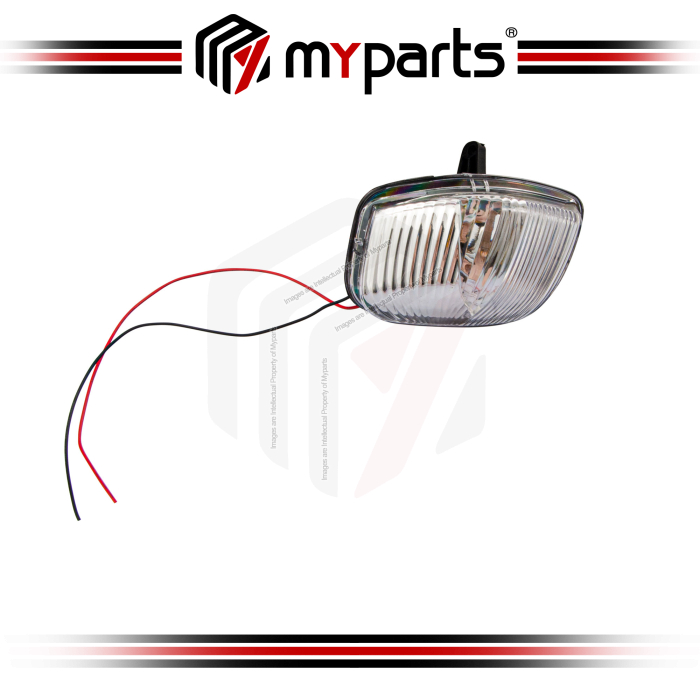Side Door Mirror Signal Lamp