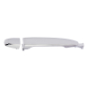Handle Door Outer FRONT (Chrome)